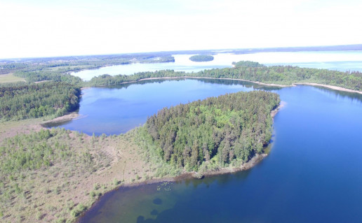 17_Auksale. S.Kvasinsko n.jpg